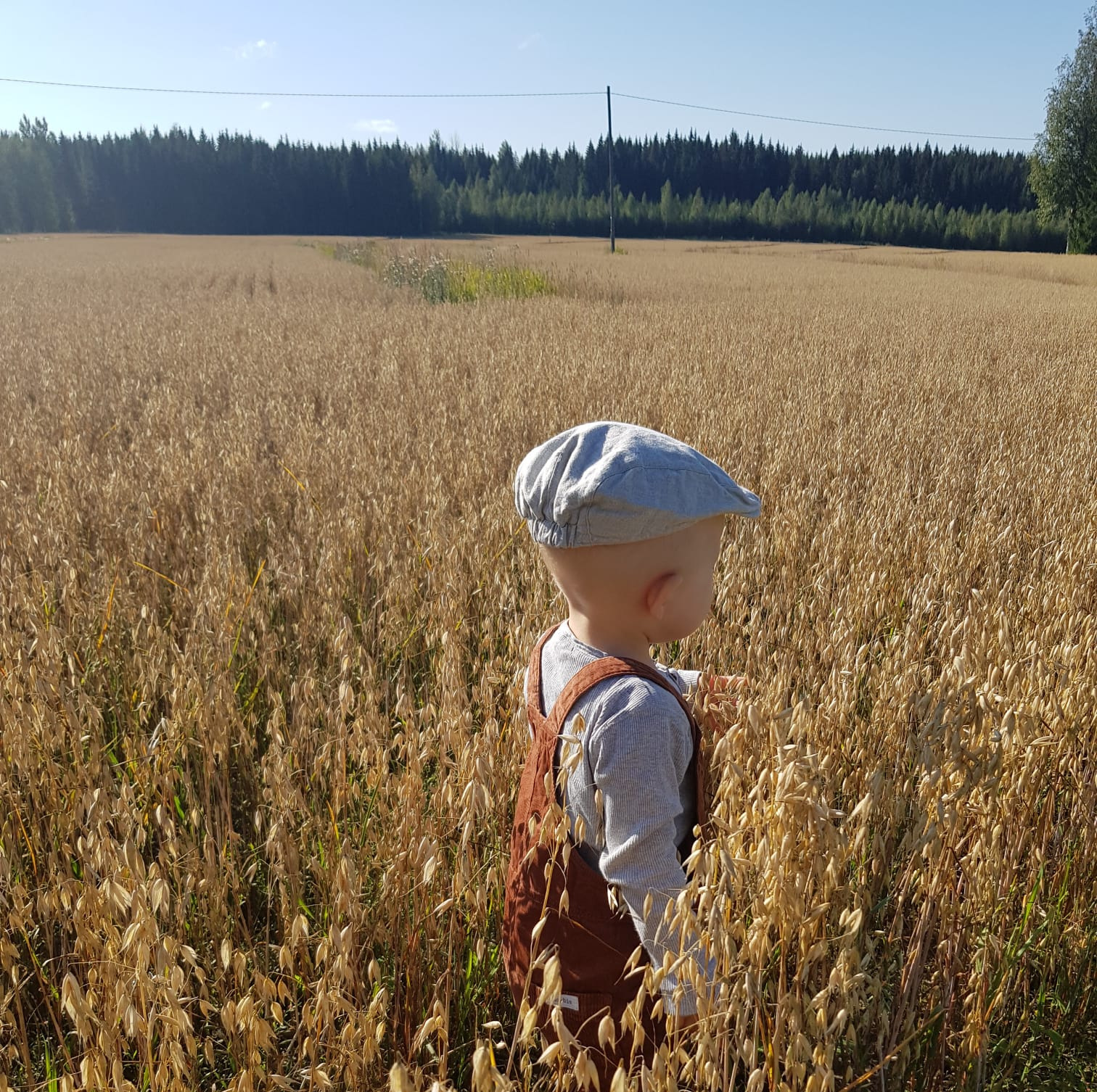 Päijänne-Leader